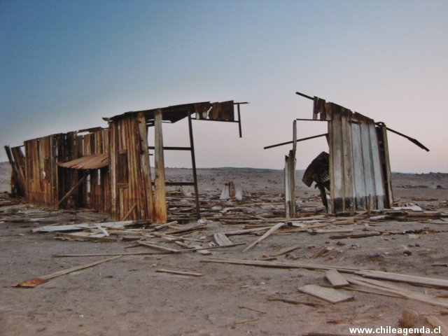 Chile + Cultura 2008