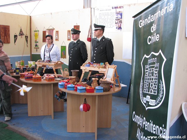 Chile + Cultura 2008