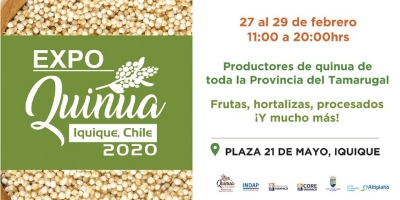 Mercado Campesino Tarapacá Expoquinua 2020